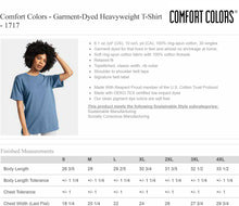 Load image into Gallery viewer, 2024 Thanksgiving Short Sleeve Comfort Color